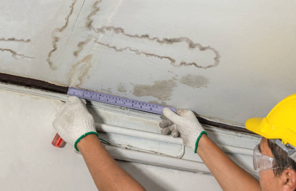 Reliable Mold Remediation contractor in Henderson, MI by Local Water Damage Repair